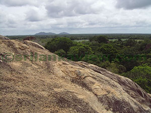 Hatthikucchi Vihara
